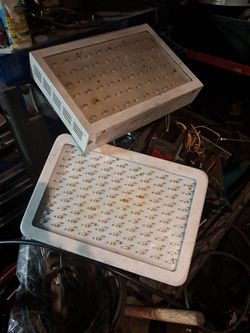 3 Grow Lights