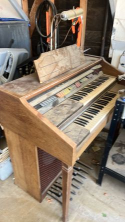 Organ