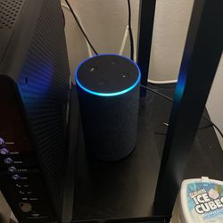 Alexa Echo