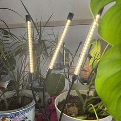 Led Lights 
