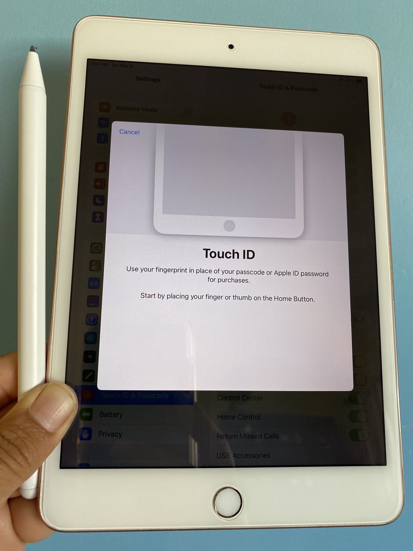 Apple iPad mini 5 (5th Generation/7.9” Retina / latest IOS 16