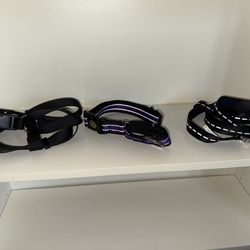 Set of Dog Collar, Harness and Leash
