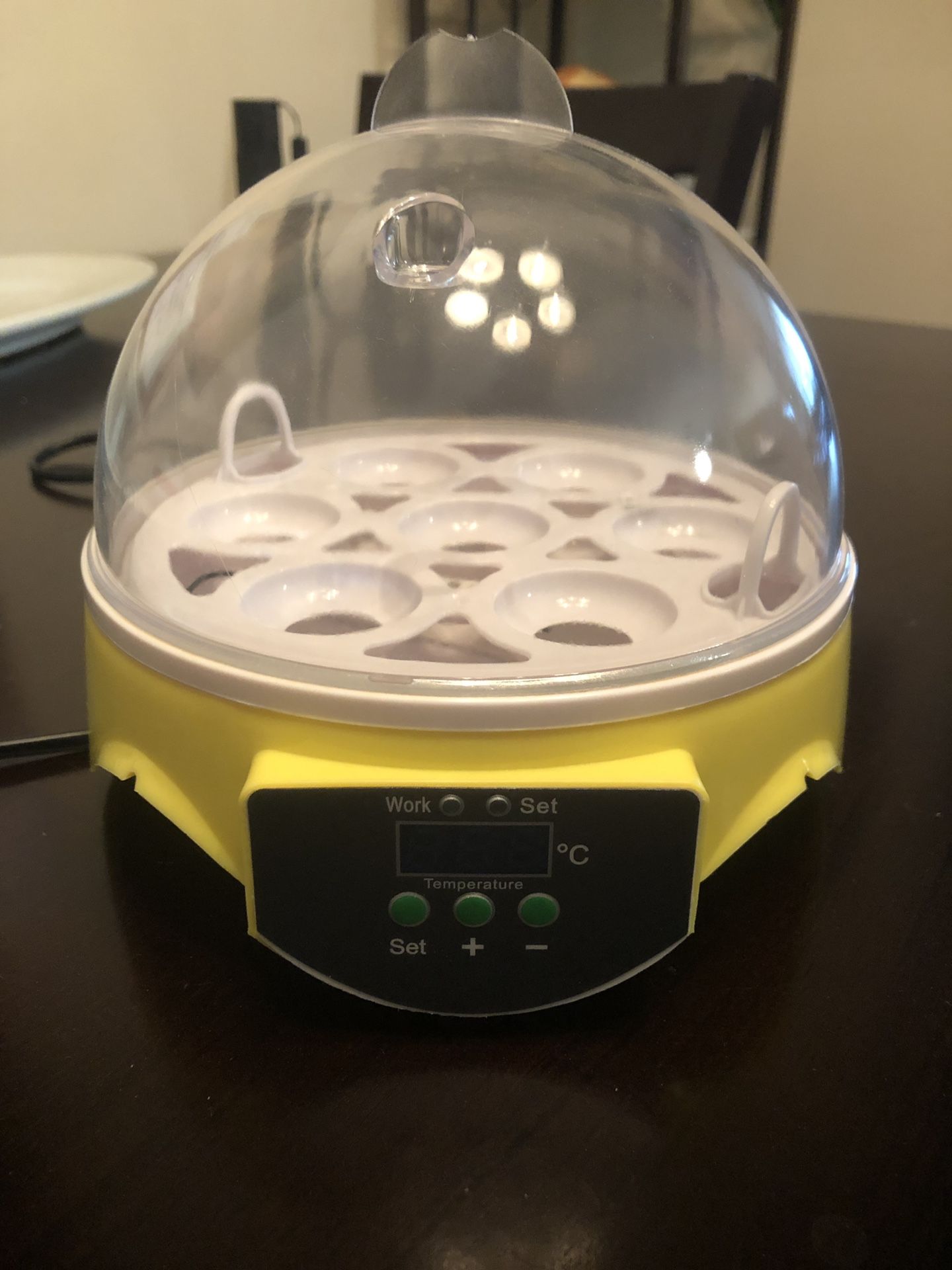 Currens Egg Incubator