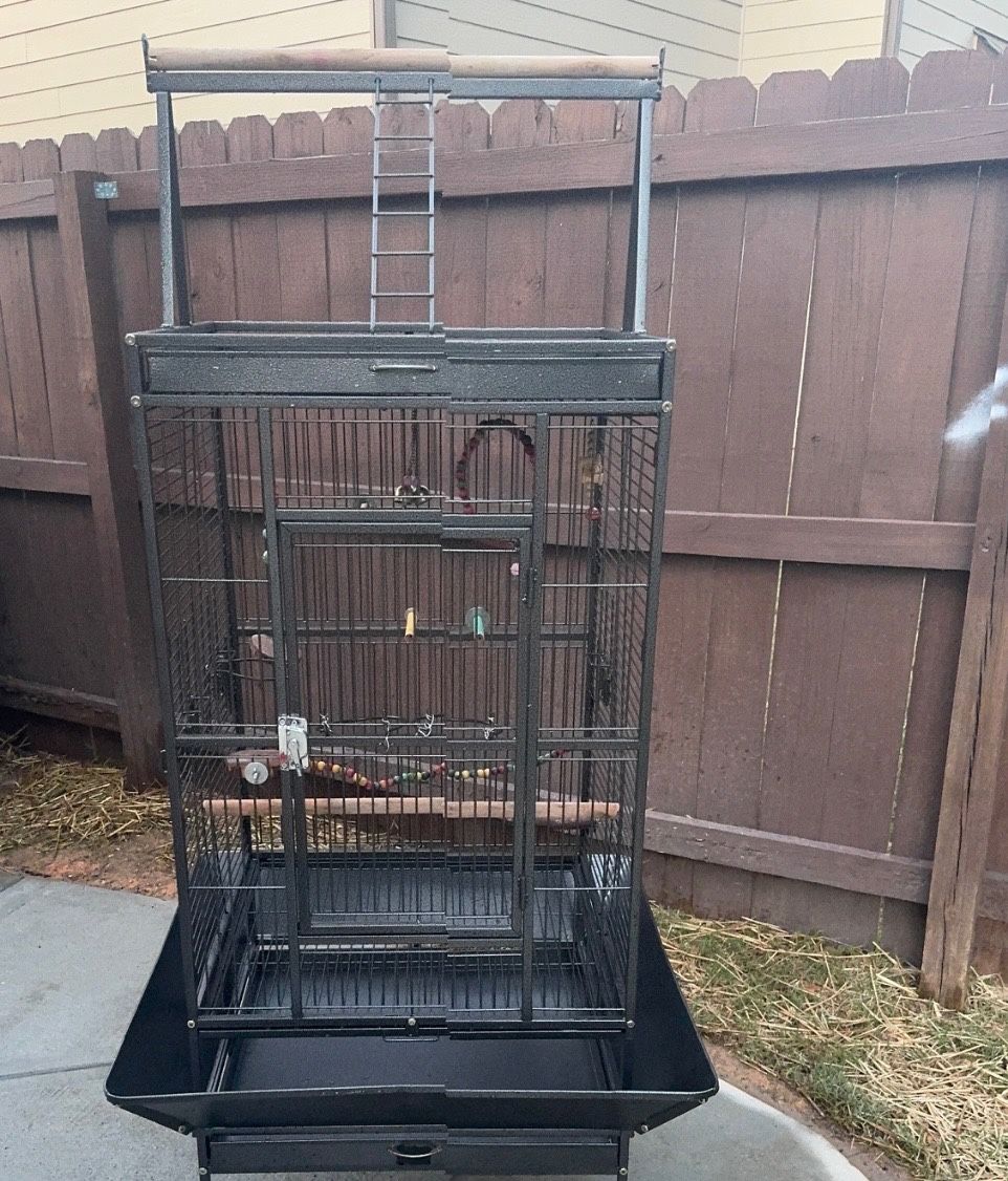 Bird Cage