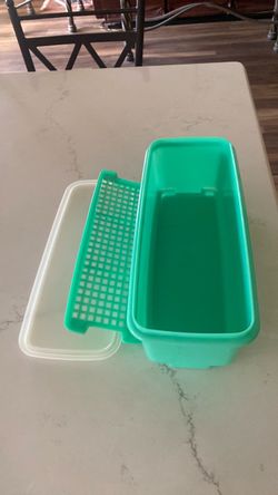 Vintage Tupperware Large Celery Container