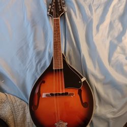Mandolin 