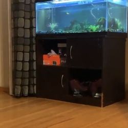 40 gallon fish tank with all accessories and stand cabinet