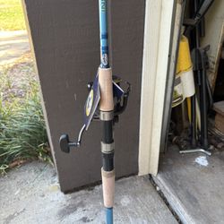 Fishing Rods & Reels