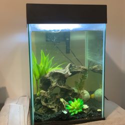 10 Gallon Fish Tank 