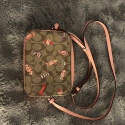 purse coach bag