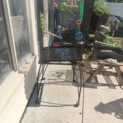 Big Cage Large