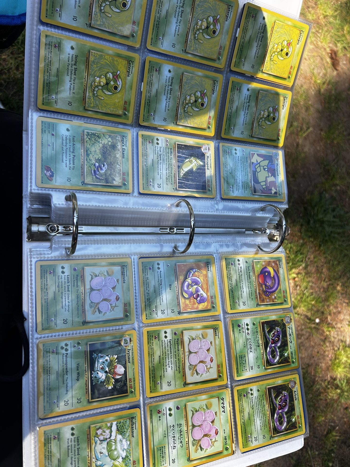 Whole Binder