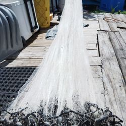 13 Foot Finger Mullet And Shrimp Net 