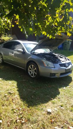 2007 Maxima rear end crash