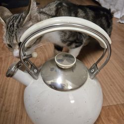 Kettle