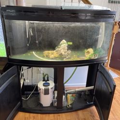 Fish Tank