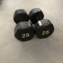 25LB Iron Dumbbells