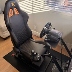 Racing Rig  + Monitor