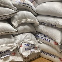 20% Protein Layer Chicken Feed 75lb Bags $25