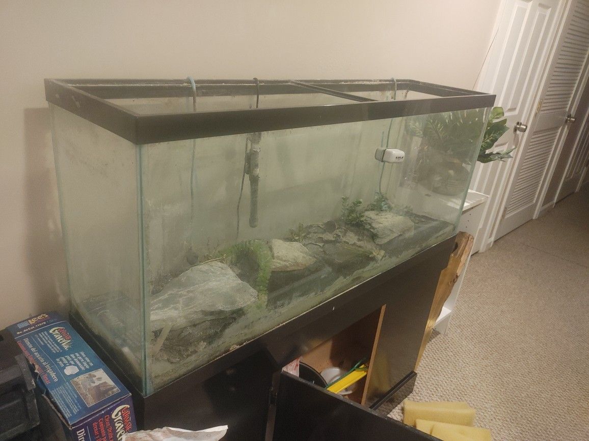 Aquarium And Supplies