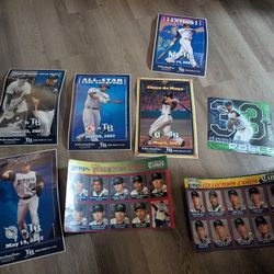 Tampa Bay Rays Posters 