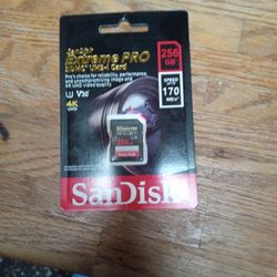 SanDisk Extreme Pro 256 GB