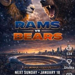 Gametime Sunday BearDown!