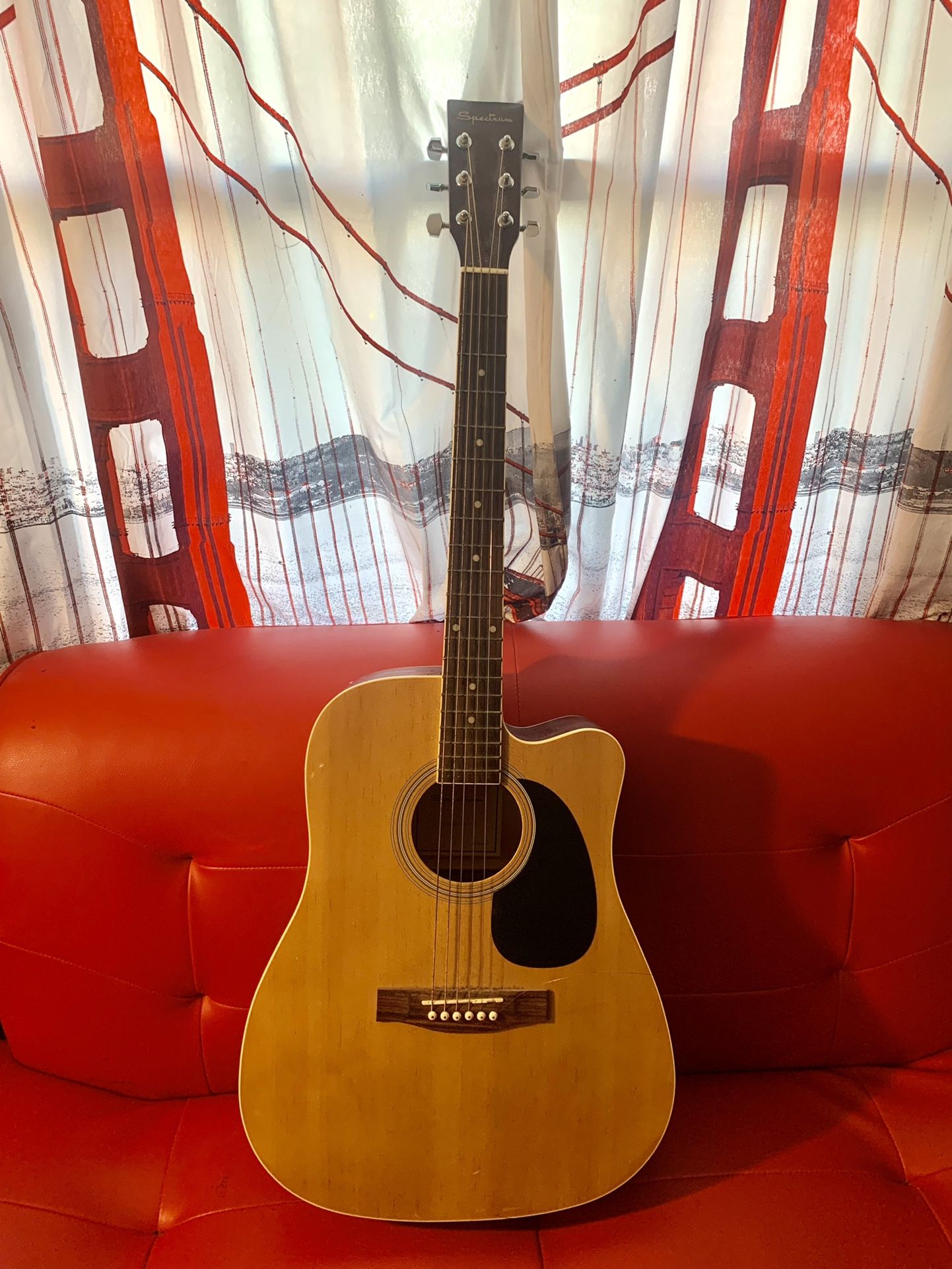 Spectrum AIL-123 Acoustic Guitar