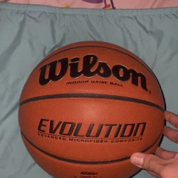 Evolution basketball 