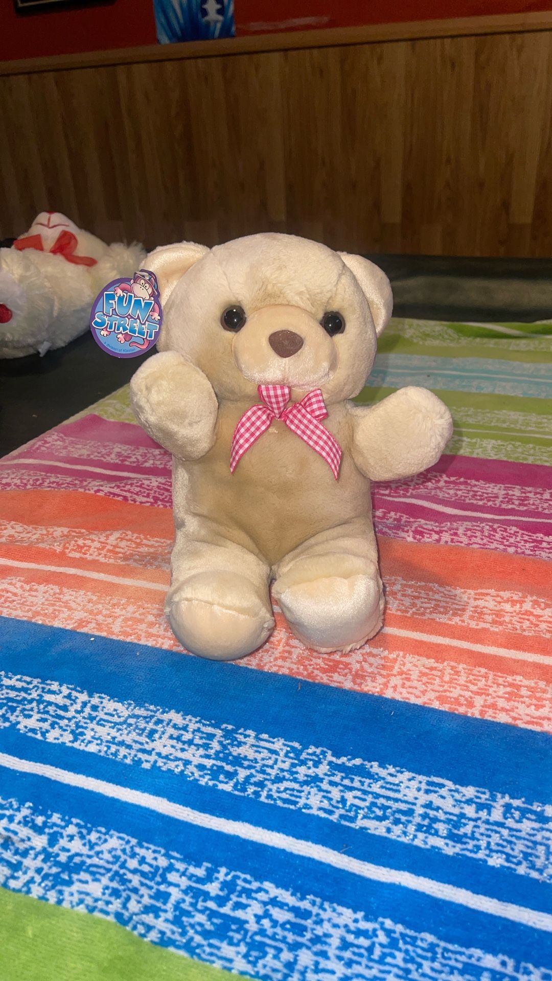 Fun Street 10” Plush Teddy Bear