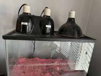 10 Gallon Tank With A Top