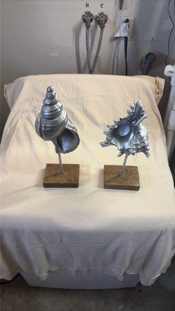 Sea shell decoration. $8 each