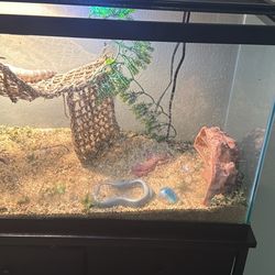 29 Gallon Enclosure (Used To Be A Fish Tank)+Stand+Additional Accessories (msg with any questions)