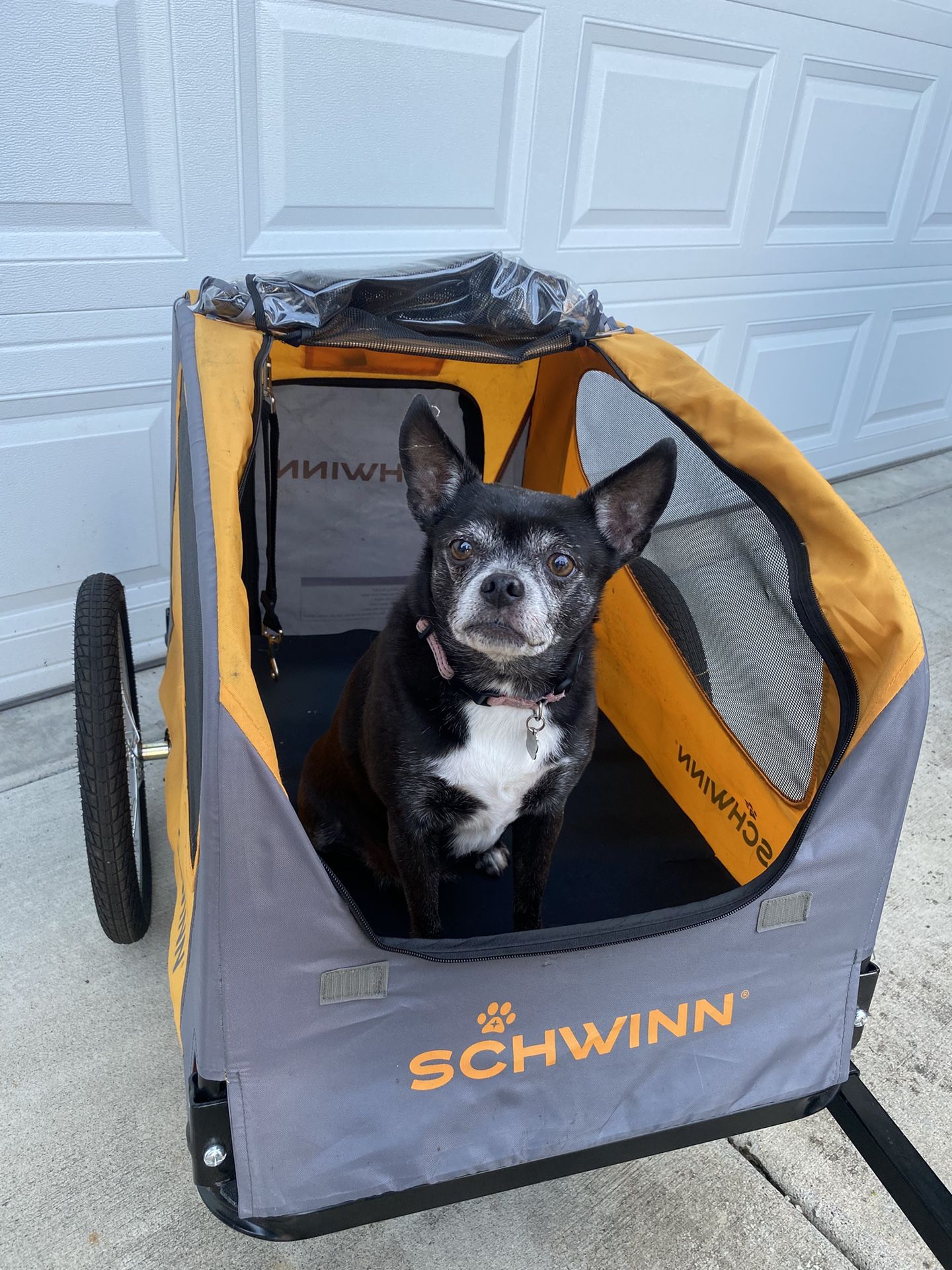 Schwinn Rascal Dog Bike Trailer
