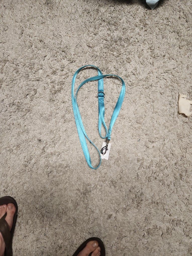 6ft Dog Leash
