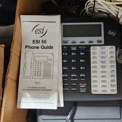 ESI Digital Phones & Communications Server 