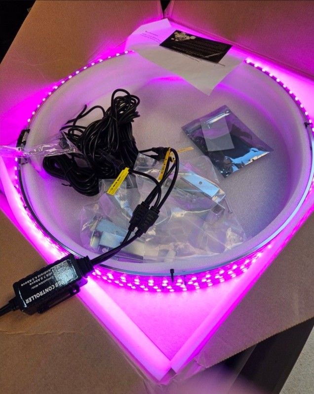 17" Wheel Lights (Single Row $100 FIRM)