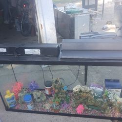 75 Gallon Fish Tank