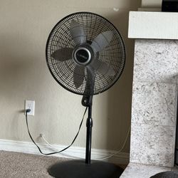 Fan