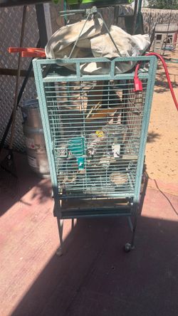 Cage / jaula