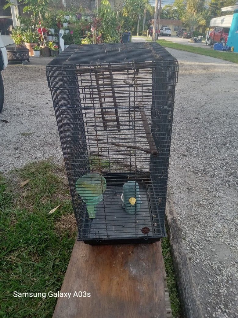 Nice Cage