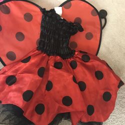 Lady bug infant costume.