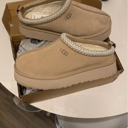 Ugg New Color Sam Size 10