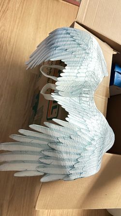 Wings 🪽