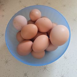 Dozen Eggs $5