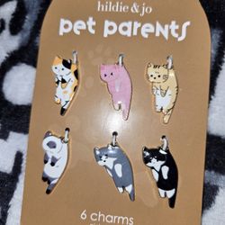 Brand New Charms Never Used Very Cute