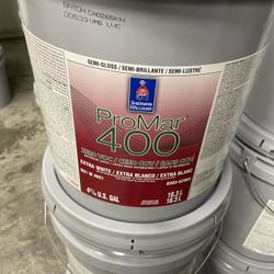 Extra White Semigloss Y Flat 