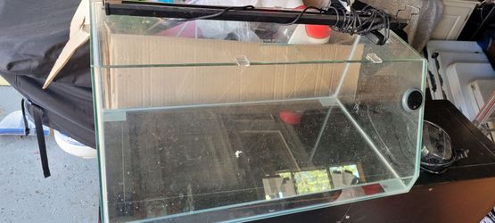 10 gallon aquarium