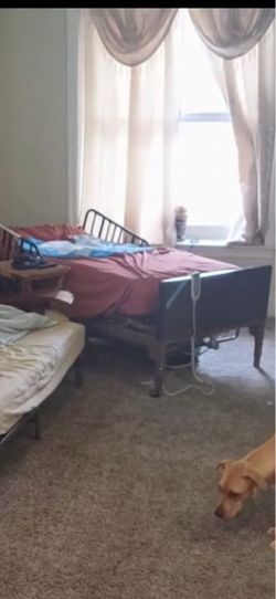 Electric hospital bed