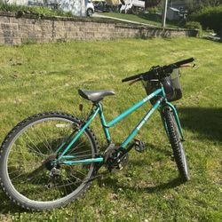 Mountain bike